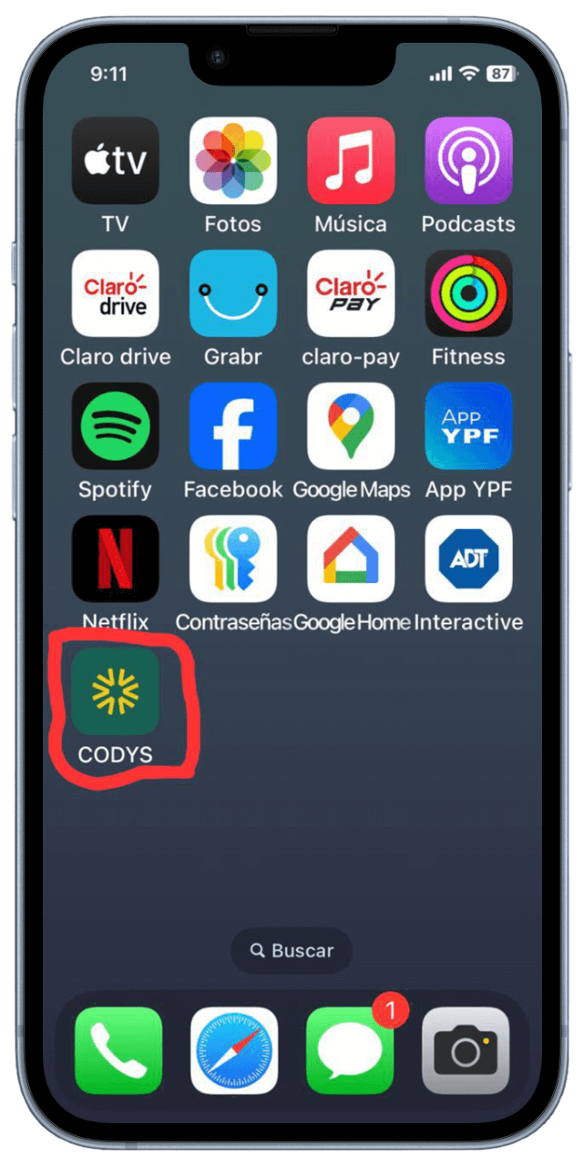 Paso 4: Ícono de la app en la pantalla de inicio del iPhone